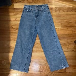 Wild Fable (Target) Wide Leg Ankle Jean